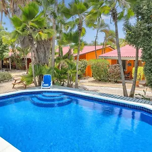 Tropical Divers 3* Kralendijk (Bonaire)